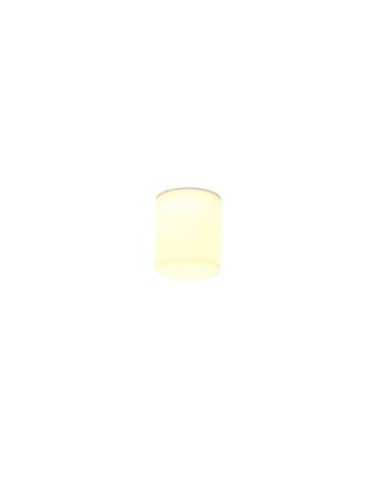 ***OFER/DES*** GLACIAR * FOCO LED PEQUEÑO 9W 4000K - IP44